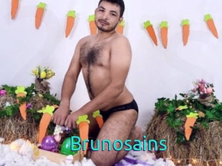 Brunosains