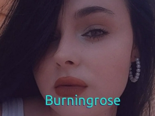 Burningrose