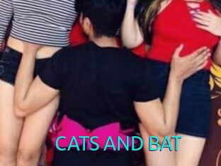 CATS_AND_BAT