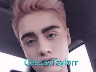 CeeJayTaylorr