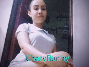 CharyBunny