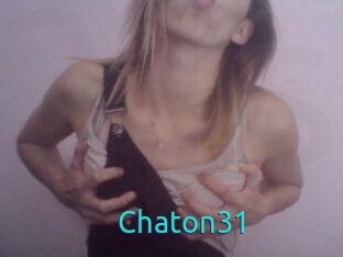 Chaton31