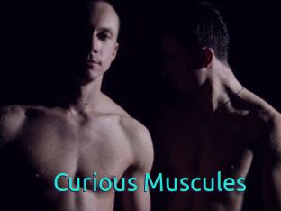 Curious_Muscules