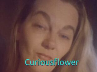 Curiousflower