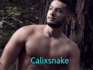 Calixsnake