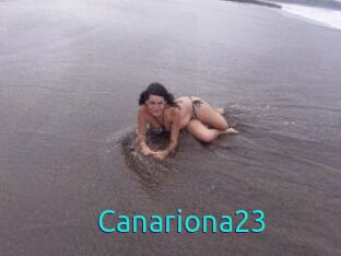 Canariona23