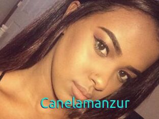 Canelamanzur