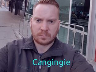 Cangingie