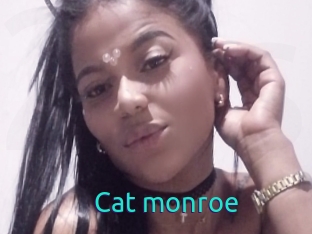 Cat_monroe