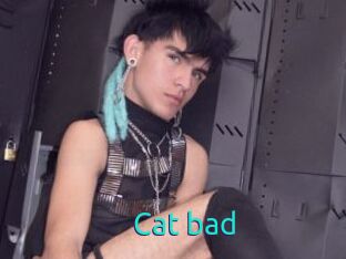 Cat_bad