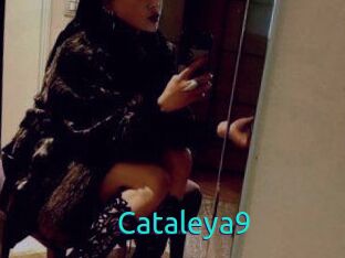 Cataleya9