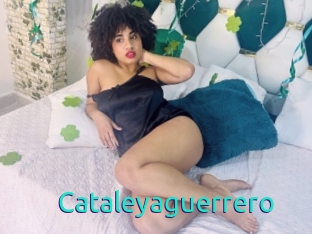 Cataleyaguerrero