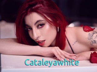 Cataleyawhite