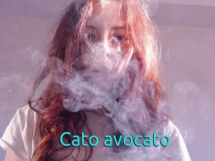 Cato_avocato