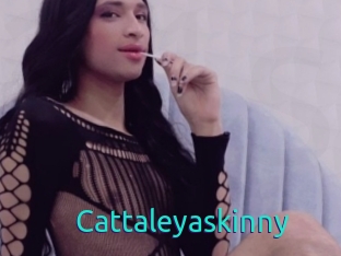 Cattaleyaskinny