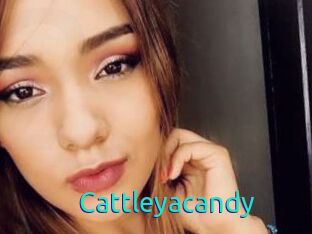 Cattleyacandy