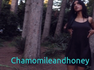 Chamomileandhoney