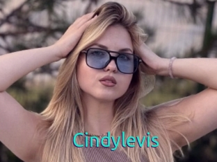 Cindylevis