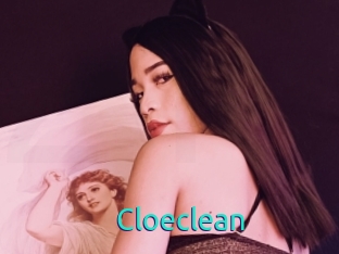 Cloeclean