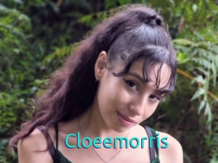 Cloeemorris