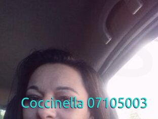 Coccinella-07105003