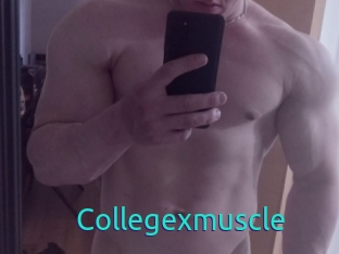 Collegexmuscle