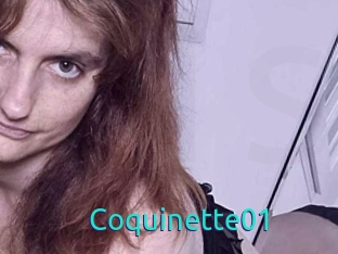 Coquinette01