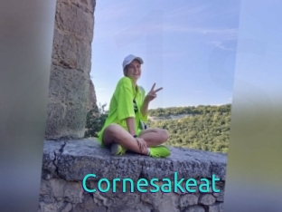Cornesakeat