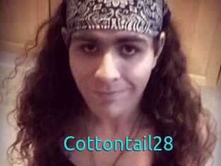 Cottontail28