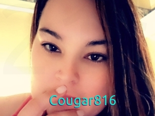 Cougar816