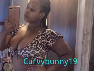 Curvybunny19