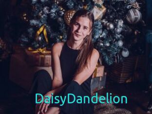 DaisyDandelion