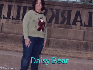 Daisy_Bear