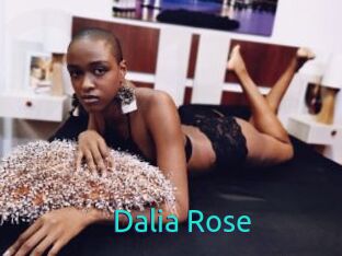 Dalia_Rose