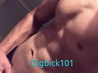 Digbick101