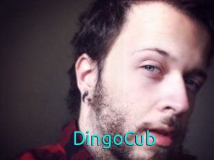 DingoCub