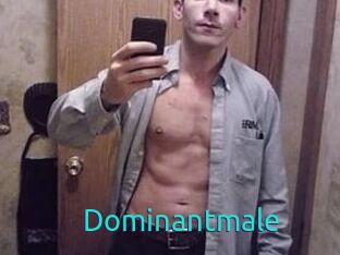 Dominantmale