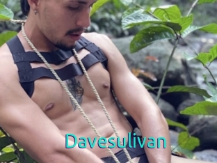 Davesulivan