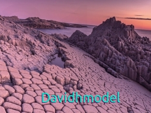 Davidhmodel