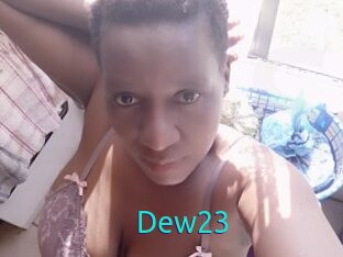 Dew23