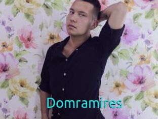 Domramires
