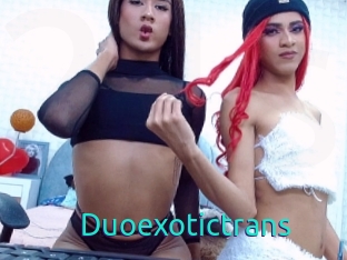 Duoexotictrans