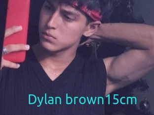 Dylan_brown15cm