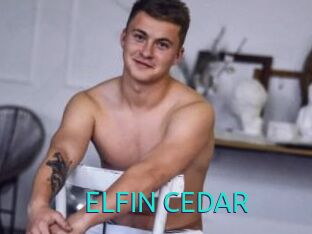 ELFIN_CEDAR