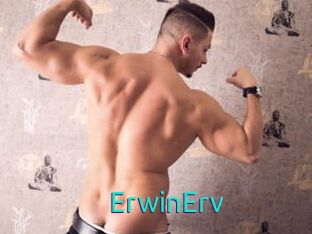 ErwinErv