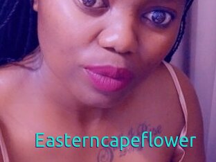 Easterncapeflower