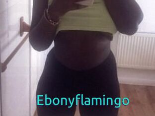 Ebony_flamingo