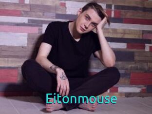 Eitonmouse