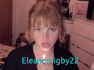 Eleanorrigby22