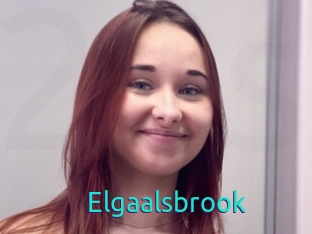 Elgaalsbrook